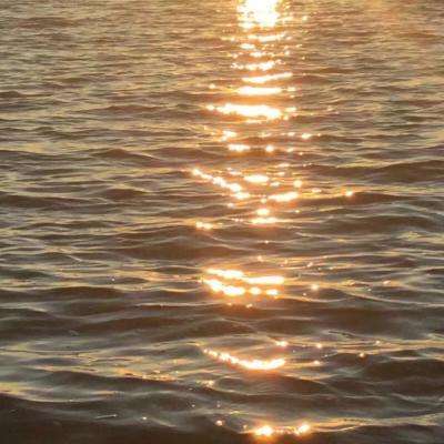 助赢软件app手机app下载